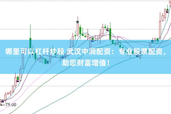 哪里可以杠杆炒股 武汉中润配资：专业股票配资，助您财富增值！