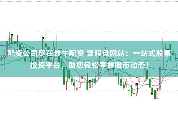 配资公司尽在鑫牛配资 聚股盘网站：一站式股票投资平台，助您轻松掌握股市动态！