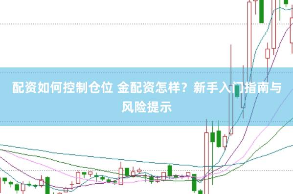 配资如何控制仓位 金配资怎样？新手入门指南与风险提示