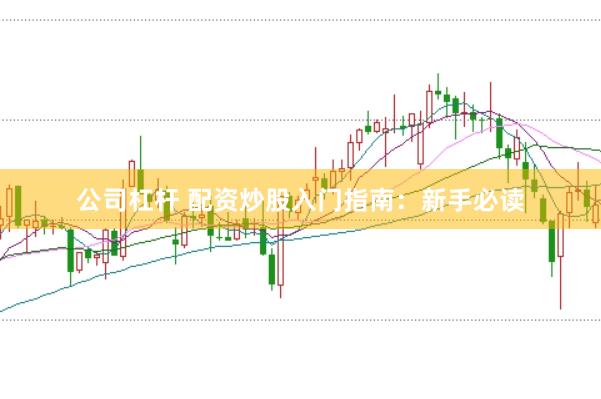 公司杠杆 配资炒股入门指南：新手必读