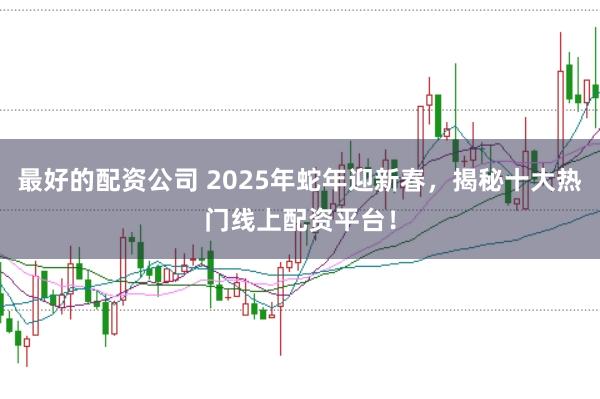 最好的配资公司 2025年蛇年迎新春，揭秘十大热门线上配资平台！