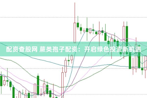配资查股网 蕨类孢子配资：开启绿色投资新机遇