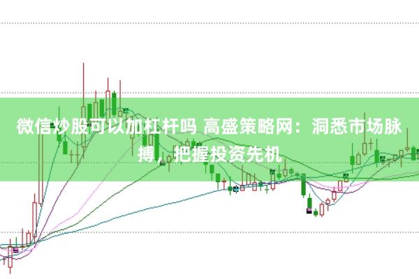 微信炒股可以加杠杆吗 高盛策略网：洞悉市场脉搏，把握投资先机