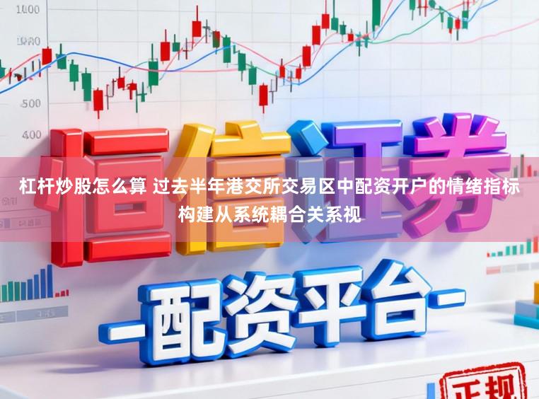 杠杆炒股怎么算 过去半年港交所交易区中配资开户的情绪指标构建从系统耦合关系视